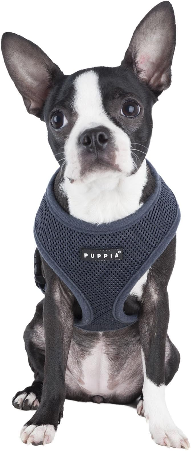 Authentic Puppia Soft Harness, Grey, X-Small (Pack of 2)