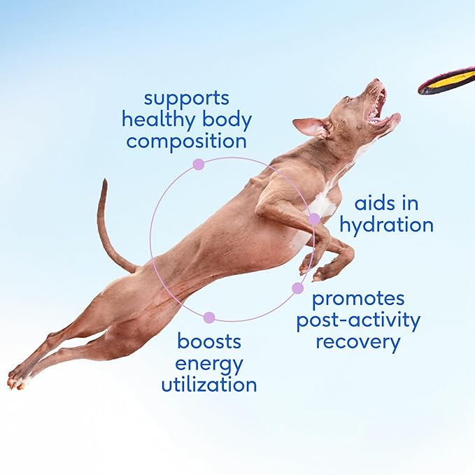 Native Pet Goat Milk Powder - Dog Food Topper for Active Dogs - Post-Activity Recovery, Energy, Immune Support, Hydration & Bone Health - Whole Goat Milk with MCTs & Essential Minerals - 120 Scoops