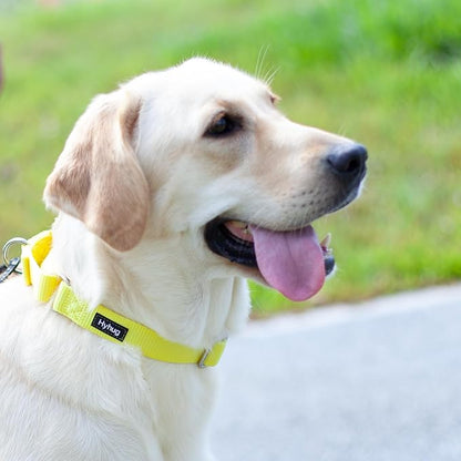 Hyhug Martingale Collar for Dogs Small Yellow |Escape - Proof Heavy Duty Nylon Durable No Buckle, Ideal for Training & Daily Walks