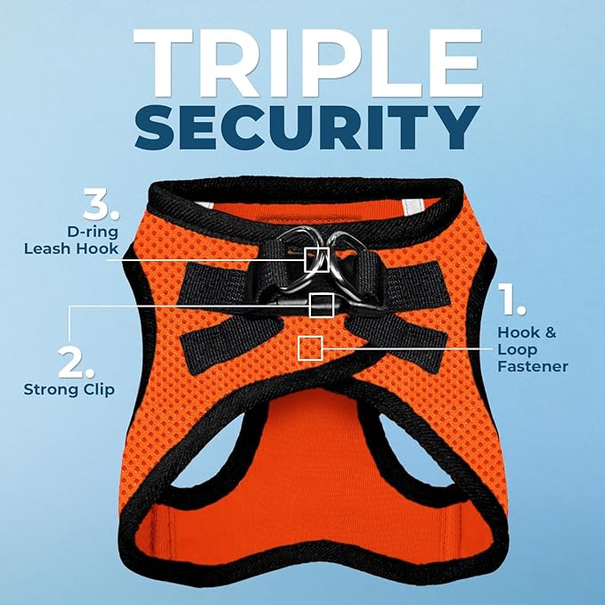 Best Pet Supplies Voyager Step-in Air All Weather Mesh Harness and Reflective Dog 5ft Leash Combo with Neoprene Handle, for Small, Medium and Large Breed Puppies - Set (Orange/Black Trim), X-Small