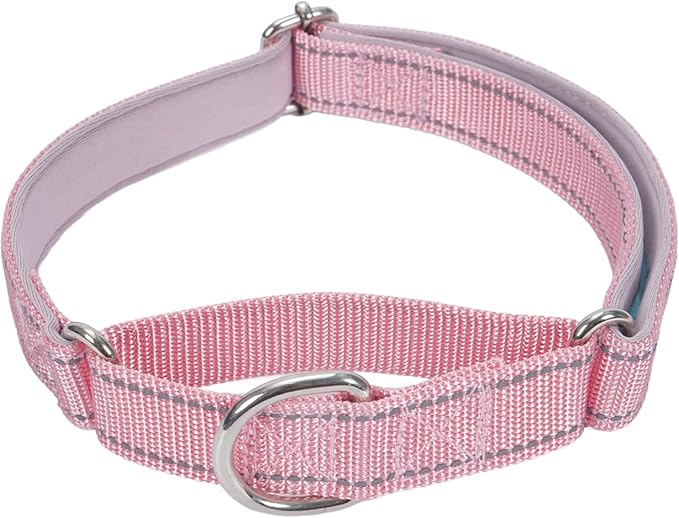 SGODA Martingale Dog Collar, Reflective Nylon Padded Dog Training Collars for Small Dogs, Pink S