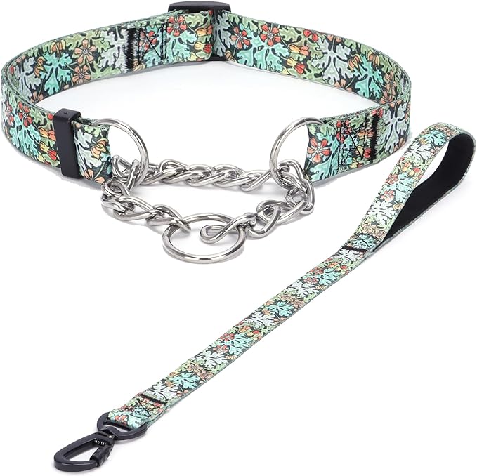 Martingale Dog Collar with Stainless Steel Chain - Limited Chain Cinch Training Collar for No Pull Training Dog - Flower Multicolor Cute Patterns - Premium No Slip Collar (S, Green Set)