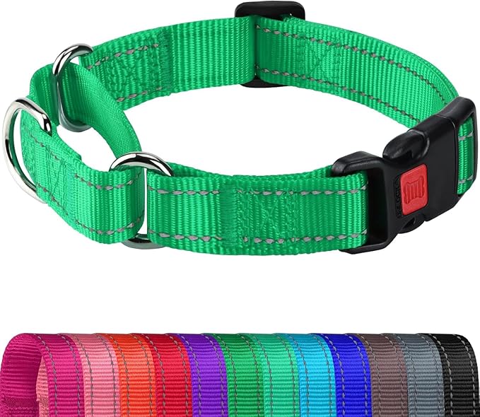 Joytale Martingale Collar for Dogs, Reflective Heavy Duty for Safety, Quick Release Buckle, Adjustable Nylon Collars for Large Dogs Walking Training, Green,L