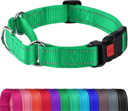 Joytale Martingale Collar for Dogs, Reflective Heavy Duty for Safety, Quick Release Buckle, Adjustable Nylon Collars for Small Dogs Walking Training, Green,S
