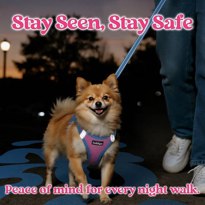 rabbitgoo Dog Harness Small Sized and Leash Set, Step-in Breathable Pet Harness, Soft Walking Reflective Puppy Vest for Small Dogs, Pink & Light Blue, XS