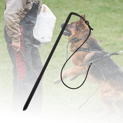 Dog Training Whip, Dog Agitation Stick Flog Teaser Wand, Dog Target Stick Outdoor Playing, for Pulling, Chasing, Training, 20.87" Rod Length, Black