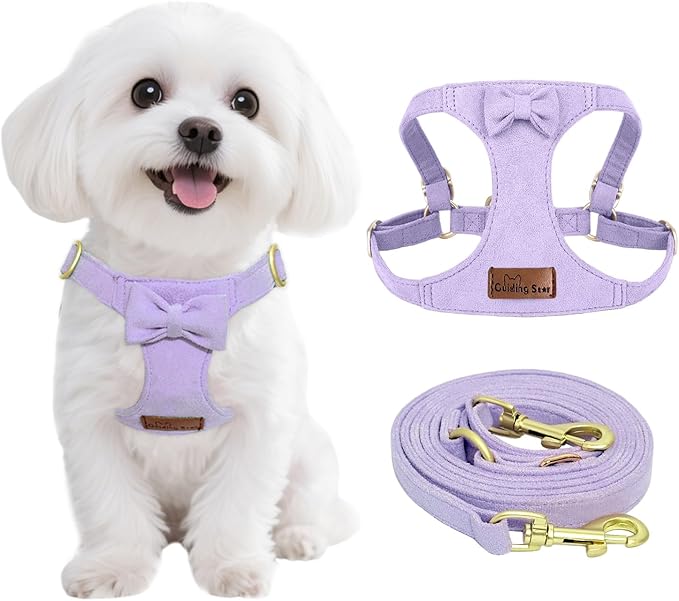 Guiding Star Dog Harness Small Sized Dog with Multifunction Leash, No Pull Puppy Dog Harness and Leash Set Training, Cute Soft Adjustable Dog Walking Harness Pet Vest Harness (Purple-XS)