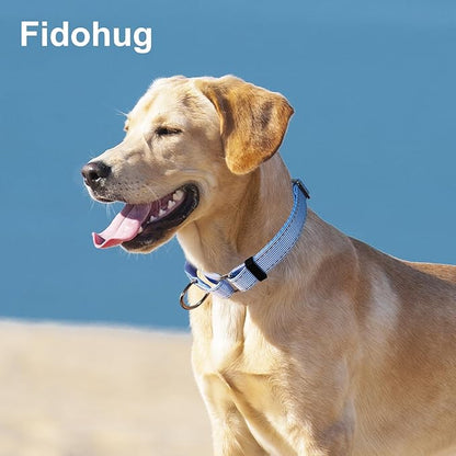 Reflective Martingale Collar for Dogs Nylon Training Collar with No Buckle, No Pull Escape Proof Dog Collar for Small Dogs（Blue Stripe，S）