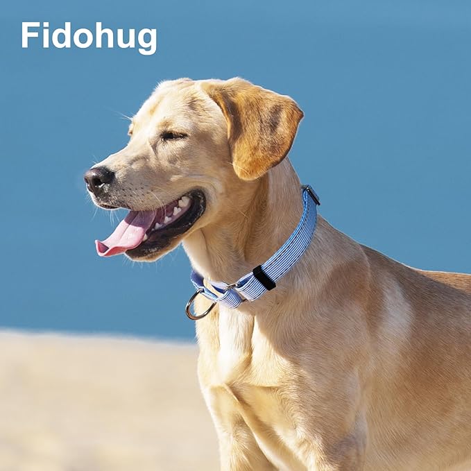 Reflective Martingale Collar for Dogs Nylon Training Collar with No Buckle, No Pull Escape Proof Dog Collar for Large Dogs（Blue Stripe，L）