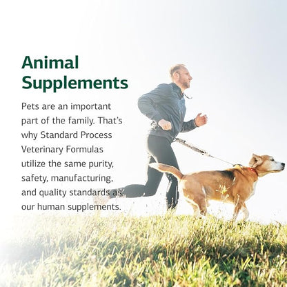 Standard Process Canine Hepatic Support - Dog Supplement to Aid Liver Health - Hepatic Immune Function & Liver Metabolism Support Supplement - Powder Supplement for Dogs - 110 g