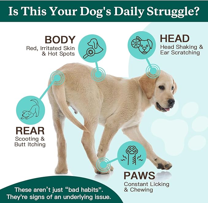 NATURE TARGET Dog Allergy Chews - Dog Allergy Relief for Itchy Skin, Hot Spots & Paw Licking - with Probiotics, Colostrum & Omega 3 - Immune Support Dog Treats, 180 Freeze Dried Chews