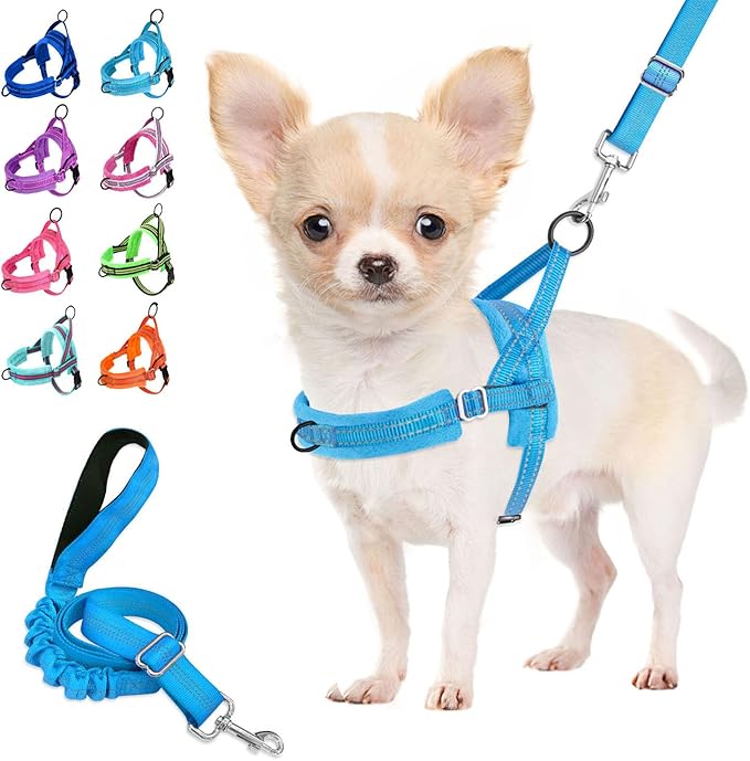 Lukovee No Pull Dog Harness and Leash Set, Soft Padded Small Dog Harness, Neck & Chest Adjustable Reflective Vest Puppy Harness with 4ft Lightweight Anti-Twist Dog Leash for Small Dogs (LBL, S)