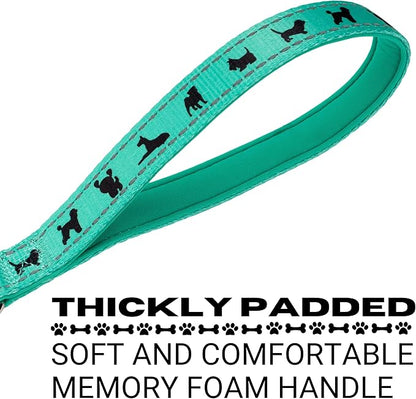 EcoBark Dog Leash - Soft & Reflective Comfort Leashes with Padded Handle - Strong Durable Heavy Duty - Training and Pulling for Small, Medium or Large Dogs (Turquoise)