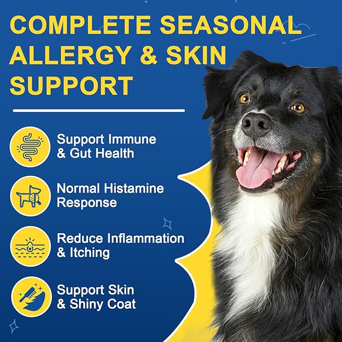 Dog Allergy Relief, Itch Relief for Dogs, Colostrum, Probiotics for Dogs Support Immunity, Omega3, Honey for Dry & Itchy Skin Relief, Seasonal Allergy, Pawlicking, Hot Spot Treatment, 75 Immune Bites