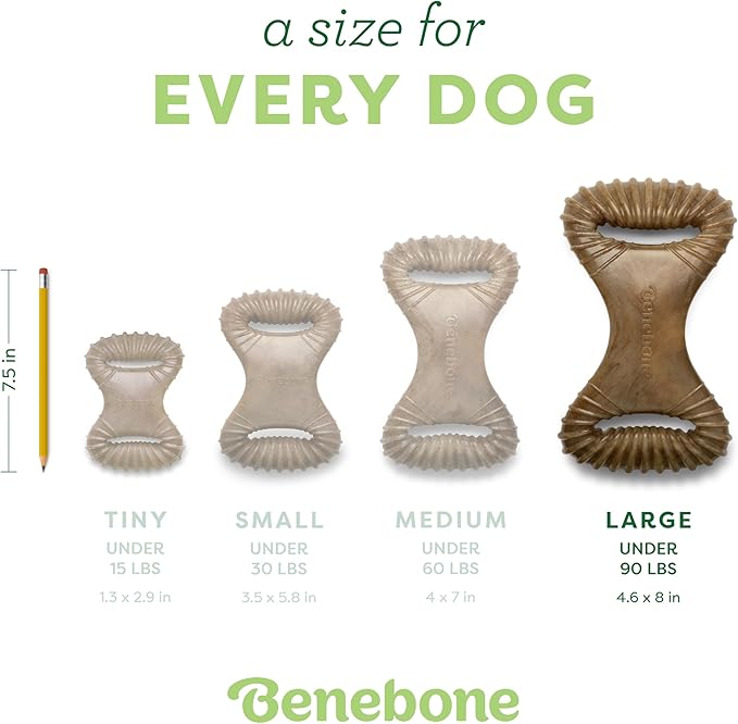 Benebone Dental Durable Dog Chew Toy for Aggressive Chewers, Real Peanut, Made in USA, Large