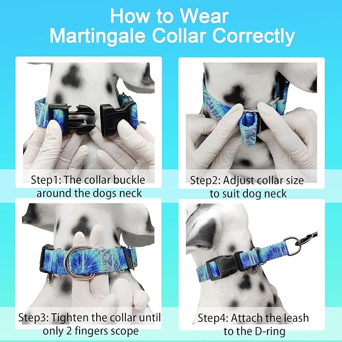 Martingale Collar with Buckle Blue Tie Dye Training Collar Adjustable Nylon Boy Dog Collars (Blue Teal, Large)