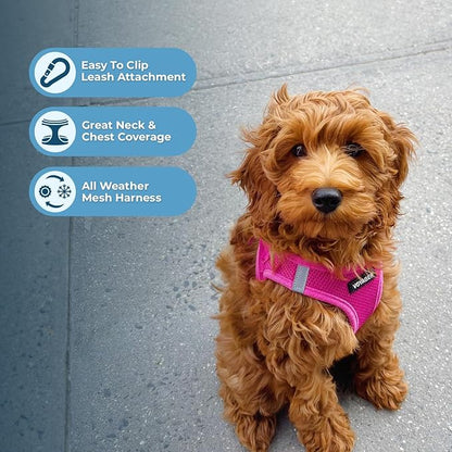 Best Pet Supplies Voyager Step-in Air All Weather Mesh Harness and Reflective Dog 5ft Leash Combo with Neoprene Handle, for Small, Medium and Large Breed Puppies - Set (Fuchsia), Small