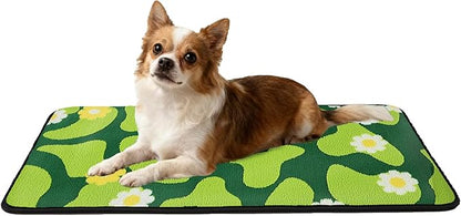 Qeils Reusable Puppy Pads for Small Dogs, Washable Pee Pads with Non-Slip , Absorbent Leakproof Mat for Crates, Playpens, Pet Beds & Whelping, Indoor Potty Training Grass Green, 16"x30", 2 Pack