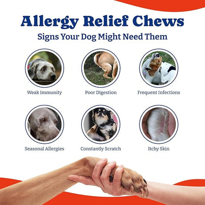 Dog Allergy Relief Chews – 70 Soft Chews, Duck & Pear Flavor - Immune Support & Itch Relief with Colostrum, Astragalus Root, 6-Strain Gut Health Blend