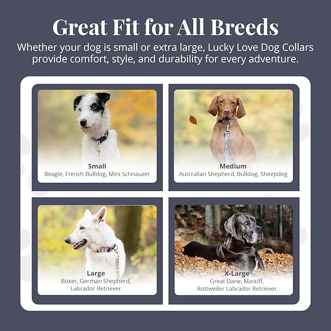 Lucky Love Dog Martingale Dog Collar - Adjustable, No-Slip, Durable, & Soft Webbing Collar for Male and Female Dogs Ideal for Training & Walking - Rosie, Large
