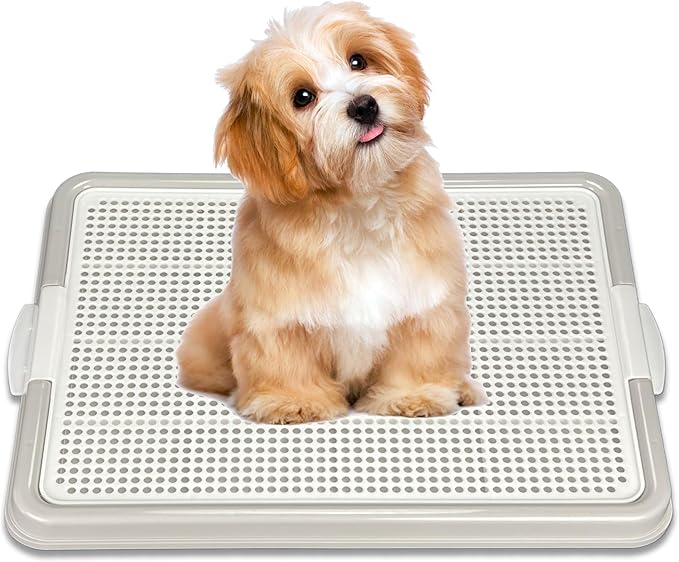 Dog Pee Pad Holder, Puppy Potty Training Tray 22.5”X16.5” for Small Dogs (Gray)