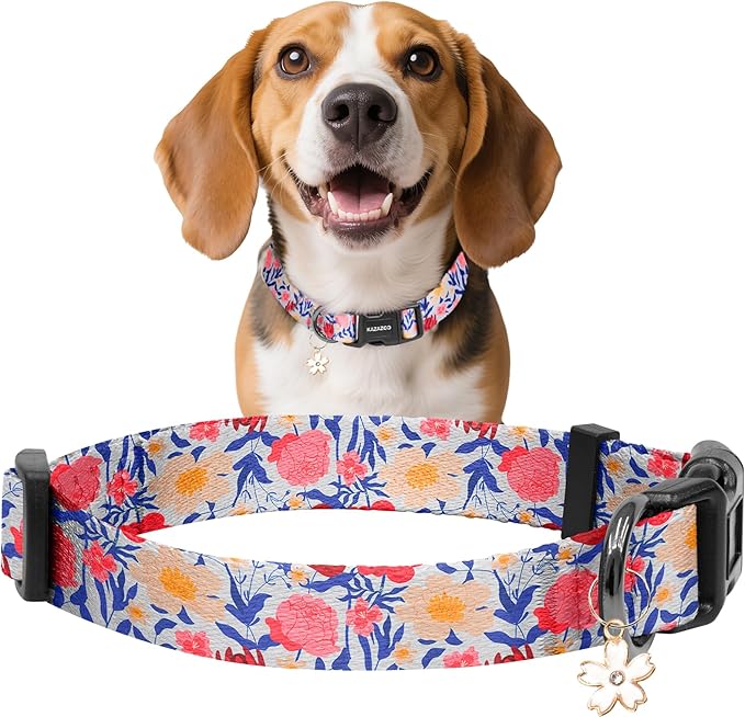 Kazazoo Dog Collar Cute and Soft Nylon Puppy Collar Girl, Adjustable Dog Collars for Small Medium Dogs, Blue and Pink Flowers-M