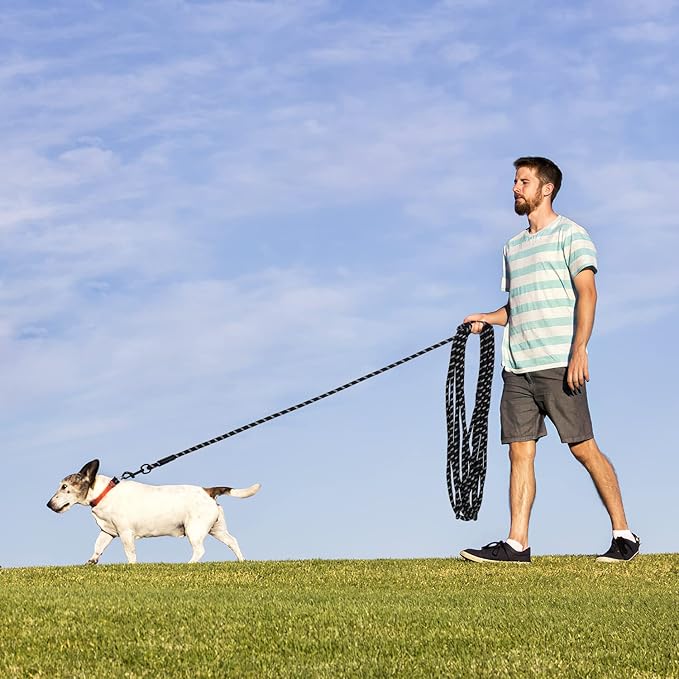 Long Dog Leash for Training 20Ft-Reflective Nylon Rope with Swivel Hook-Recall Agility Lead for Large Small Medium Dogs Outside Walking Hiking-Black Diam 1/2"