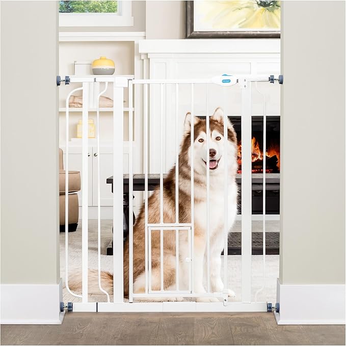 Carlson 36" Extra Tall Walk Through Dog Gate for Doorways & Bottom of Stairs, Metal Pet Gate with Small Pet Door, Expands 29.5”–36.5”, White