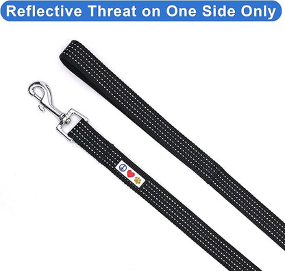 Pawtitas Black Dog Leash 6 ft M/L Reflective Durable Lightweight Dog Lead for Medium or Large Dogs and Puppies