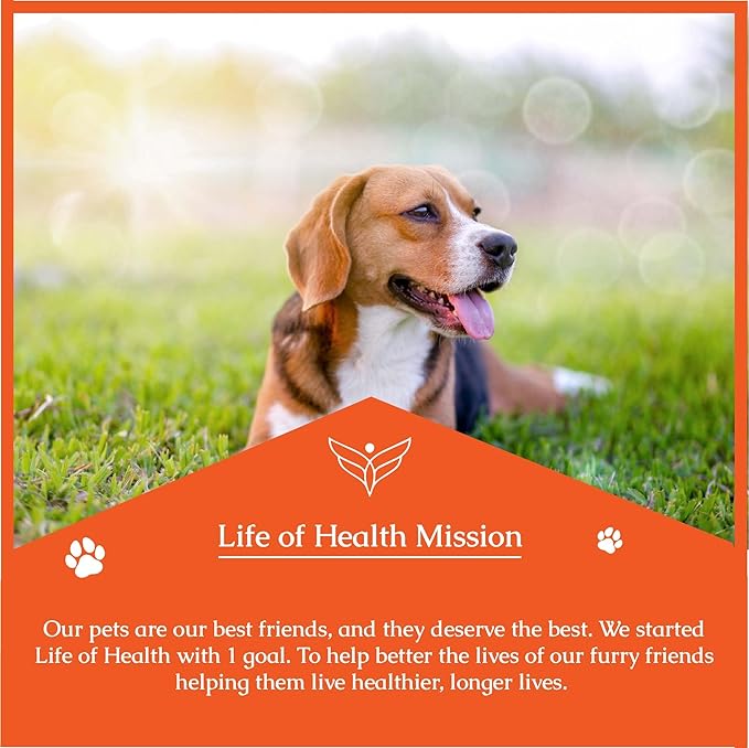 Natural Antibiotics for Dogs | Dog Antibiotics | Dog Ear Infection Treatment | Dog Itch Relief | Yeast Infection Treatment for Dogs | Dog Antibiotic | Pet Antibiotics | Antibiotic for Dogs | 1 oz