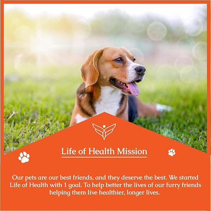 Natural Antibiotics for Dogs | Dog Antibiotics | Dog Ear Infection Treatment | Dog Itch Relief | Yeast Infection Treatment for Dogs | Dog Antibiotic | Pet Antibiotics | Antibiotic for Dogs | 1 oz