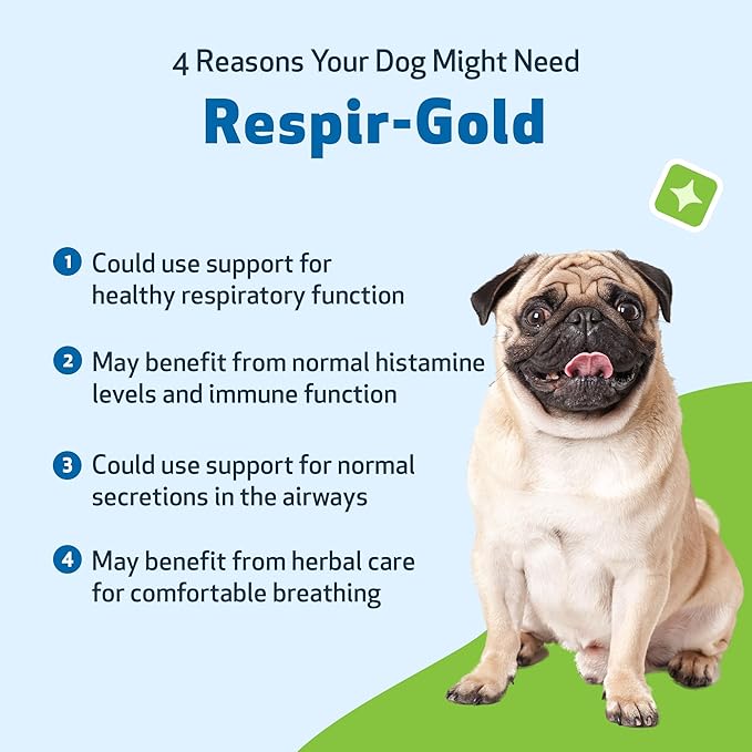 Pet Wellbeing Respir-Gold for Dogs - Lower Respiratory Support, Holistic Lung Health & Deep Breathing with Black Cumin & Horehound - NASC Certified & Vet Formulated - 4 fl oz (118 ml)