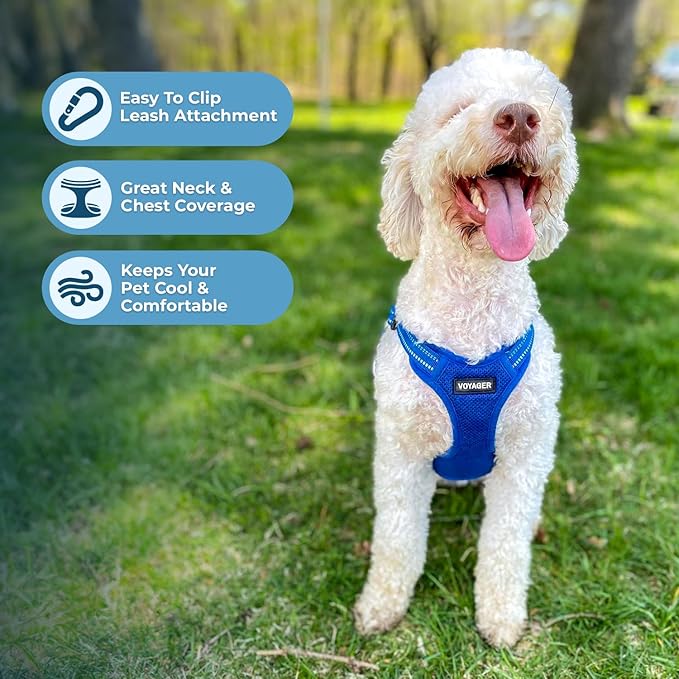 Best Pet Supplies Voyager Adjustable Step-in Flex Breathable Mesh Dog Harness for Small Medium Large Dogs (Royal Blue), L