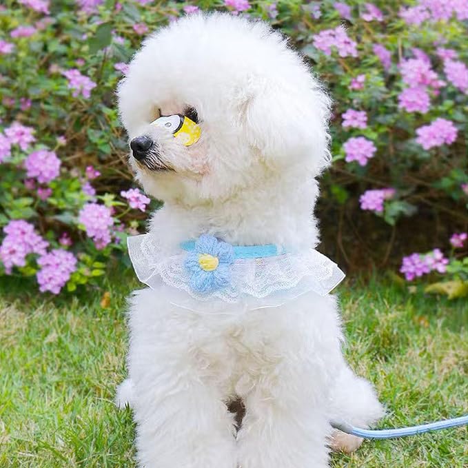 Cat Harness Collar and Leash Set, Sweet Lace Floral Kitten Collar, Escape Proof Puppy Chest Harness, Adjustable Cute Harness Leash Set for Cat Puppy Dog Outdoor Walking (Blue, M)