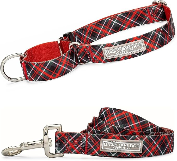 Lucky Love Dog Martingale Dog Collar & Leash - Adjustable, No-Slip, Durable, Comfortable, Soft Webbing, & Stylish Patterned Collar & Leash Set for Male and Female Dogs - Heywood Combo, Medium
