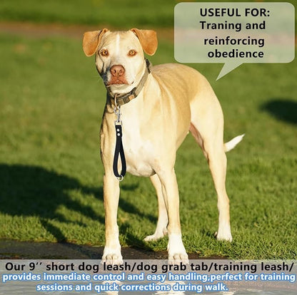 Short Dog Leash - 9 Inch Dogs Lead Grab Tab Heavy Duty Waterproof PVC Dog Training Traffic Leashes for Safety Control Behavior Correction Hiking Backup & All Breeds(Light Pink, 9'')