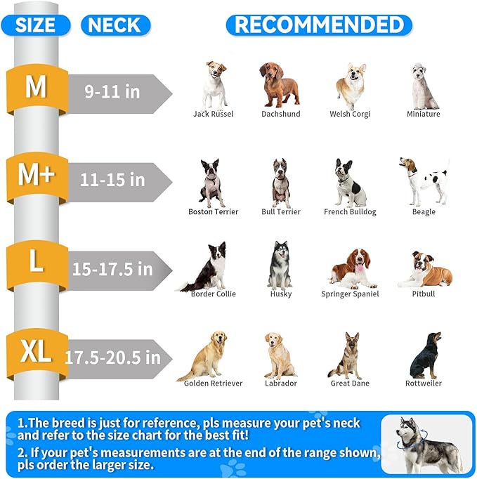 Upgraded Inflatable Dog Cone Collar for Dogs After Surgery,Adjustable Soft Elizabethan Collar for Medium Large Dogs,Comfortable Dual-Ring Dog Cone with Detachable Transparent Anti-Licking Shield（M