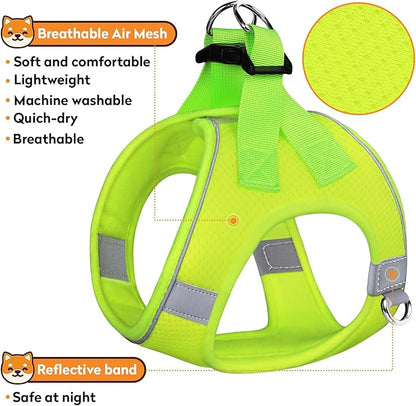 Dog Harness with Leash Set, No-Pull Step-in Reflective Pet Harness with 1 Leash Clips, Adjustable Soft Padded Easy Walk Dog Vest for Small Medium Large Dogs, Cats(Fluorescent, XXXSmall)