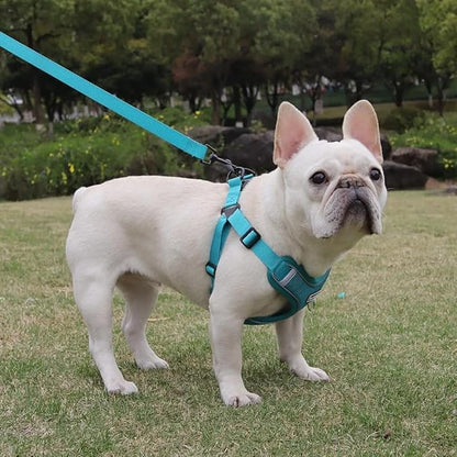Dog Harness and Leash Set, Adjustable Triangle, Reflective Adjustable Puppy Vest, No Pull Soft Mesh Harness for Small, Medium Dogs, Cats (Turquoise, XL)