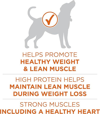 Purina ONE Plus Healthy Weight High-Protein Dog Food Dry Formula - 31.1 lb. Bag