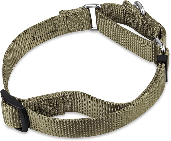 Hyhug Martingale Collar for Dogs Small Green |Escape - Proof Heavy Duty Nylon Durable No Buckle, Ideal for Training & Daily Walks