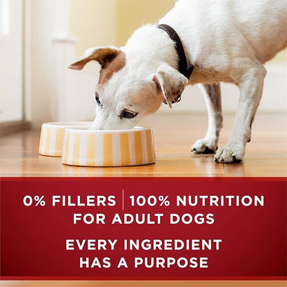 Purina ONE Wet Dog Food True Instinct Classic Ground Grain-Free Formula With Real Beef and Bison High Protein Dog Food - (Pack of 12) 13 oz. Cans