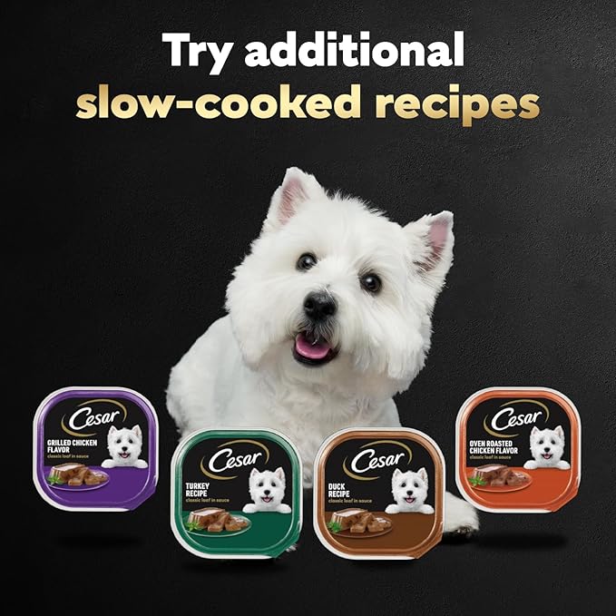 Cesar Classic Loaf in Sauce Adult Wet Dog Food Poultry Lovers Variety Pack with Real Chicken,Turkey or Duck,3.5 oz Easy Peel Trays,36 Count (Pack of 2)