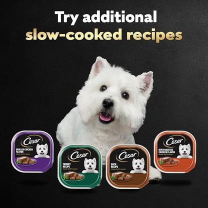 Cesar Classic Loaf in Sauce Adult Wet Dog Food Poultry Lovers Variety Pack with Real Chicken,Turkey or Duck,3.5 oz Easy Peel Trays,36 Count (Pack of 2)