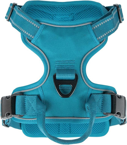 Voyager Dog Harness Dual Leash Attachment No-Pull Control Adjustable Soft but Strong Pet Harness for Medium and Large Dogs with 3M Reflective Technology, Turquoise Nylon, S (Chest: 16-20")
