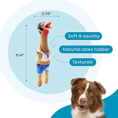 Outward Hound by Charming Pet Squawkers Earl Latex Squeaky Rubber Chicken Dog Toy, Funny Interactive Holiday Toy for Dogs, Large Size
