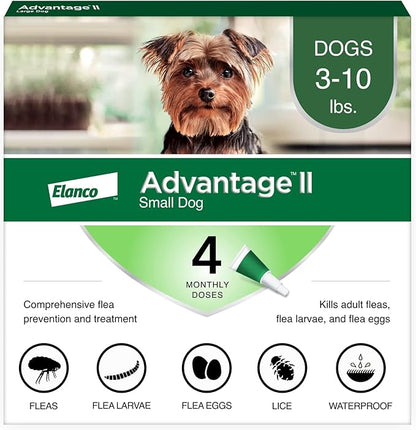 Advantage II Small Dog, 4 pack
