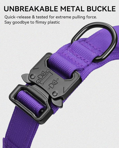 Joytale Tactical Dog Collar with Handle and Metal Buckle, Heavy Duty Padded Military Collar with 2 Patches for Training, Adjustable for XLarge Dogs, Purple, XL