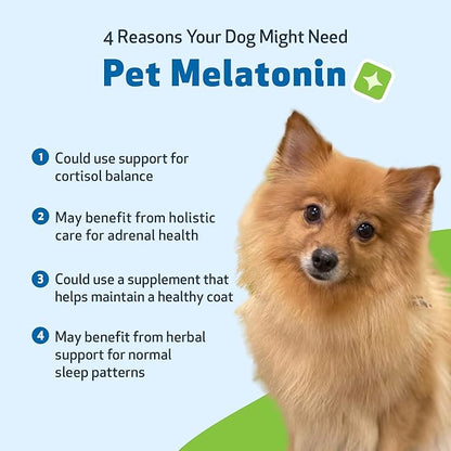 Pet Wellbeing Pet Melatonin for Dogs - Vet-Formulated Holistic Sleep Support - Healthy Sleep Patterns, Circadian Rhythm Balance - Liquid Melatonin Supplement - Made for Dogs 4 oz (118 ml)
