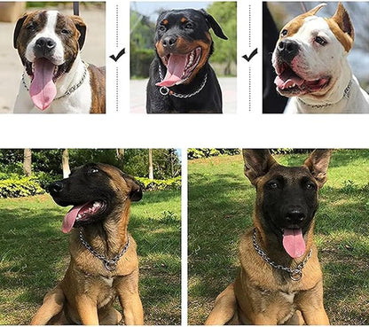 Slip P Chain Dog Collars for Large Dogs,Training Link Stainless Steel Martingale Collars Puppy Chain for XXS XS Small Medium Large Breed Dogs, Silver, M ﻿